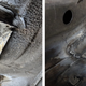 Illustration for article titled How I Saved My Project BMW E30 From Rust Oblivion by Learning to Weld
